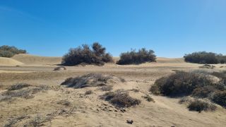 2023-GC--Mapalomas dunas-S123-141.jpg